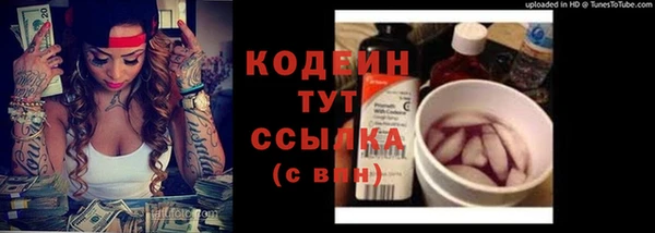 твердый Магас
