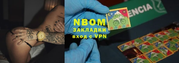 твердый Магас