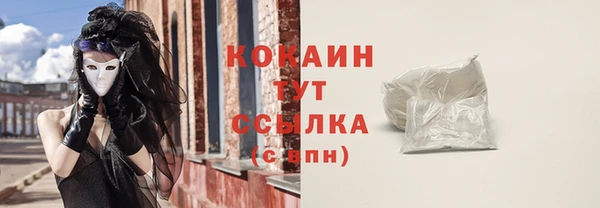 твердый Магас