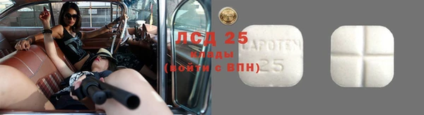 твердый Магас