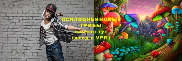 твердый Магас