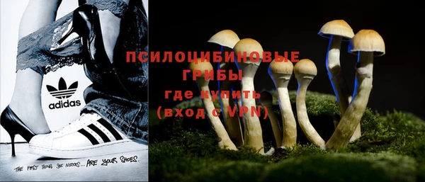 мяу мяу кристалл Майский